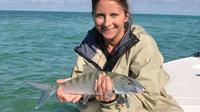 Miami Beach Inshore Fishing Trip