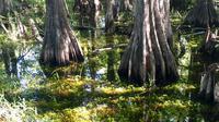 Big Cypress National Preserve