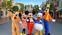 Miami to Orlando Magic Kingdom