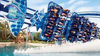Miami to SeaWorld Theme Park