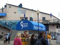 The Aquarium