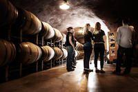 Tour the barrel caves at Benziger Family Winery.
