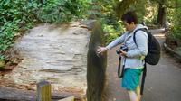 Muir Woods