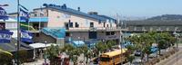 Aquarium of the Bay