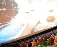 Theater visitor center