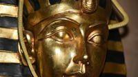 Pharaohs Curse