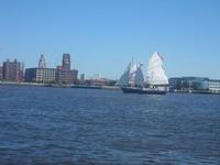 Pretty Junk on the Delaware