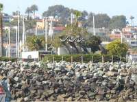 Seal Tour