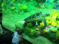 SeaWorld San Diego