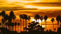 Mission Bay Sunset Cruise
