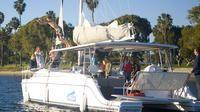 Anchored Up