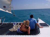 Shipwreck Snorkel and Wild Dolphin Encounter