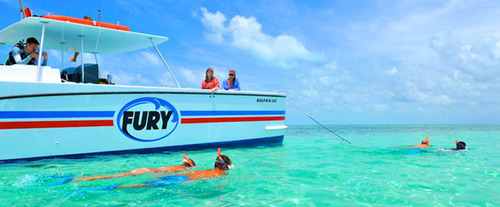 Snorkeling on the Key West Dolphin Watch and Snorkel Cruise