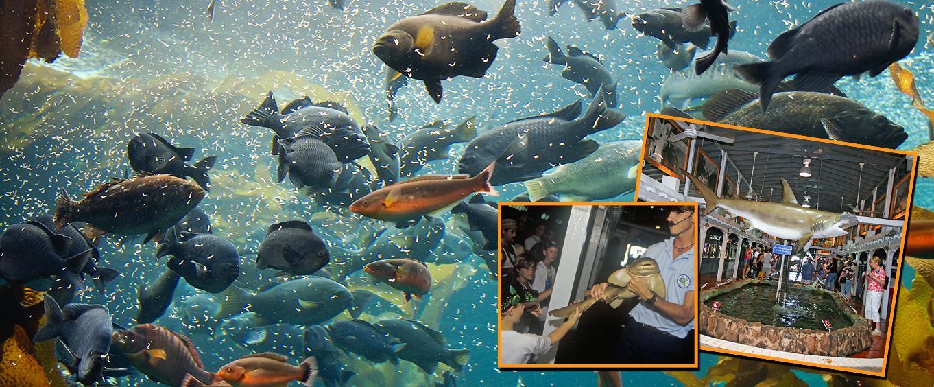 Enjoy the Key West Aquarium