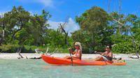 Kayaking through Key West mangroves