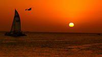 Sail away into the horizon