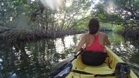 Kayak Through a Mangrove Tunnel