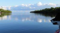 cow key channel