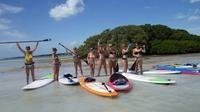 Your choice - paddlebords, single or double kayak