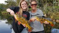 Florida Keys Peacock bass fishing trip