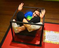 Enjoy Ripley's Believe It or Not St Augustine