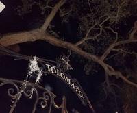 Secrets of St Augustine Ghost Tours