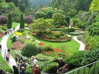 Victoria - Butchart Gardens
