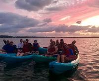 Sunset Dolphin Kayak Tours