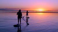 SUP Lesson