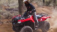Soar through the Sonoran Desert