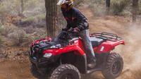 Soar through the Sonoran Desert