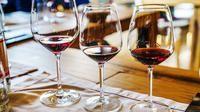 Page Springs Wine Tasting