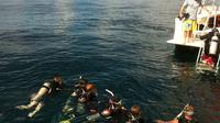 Divers