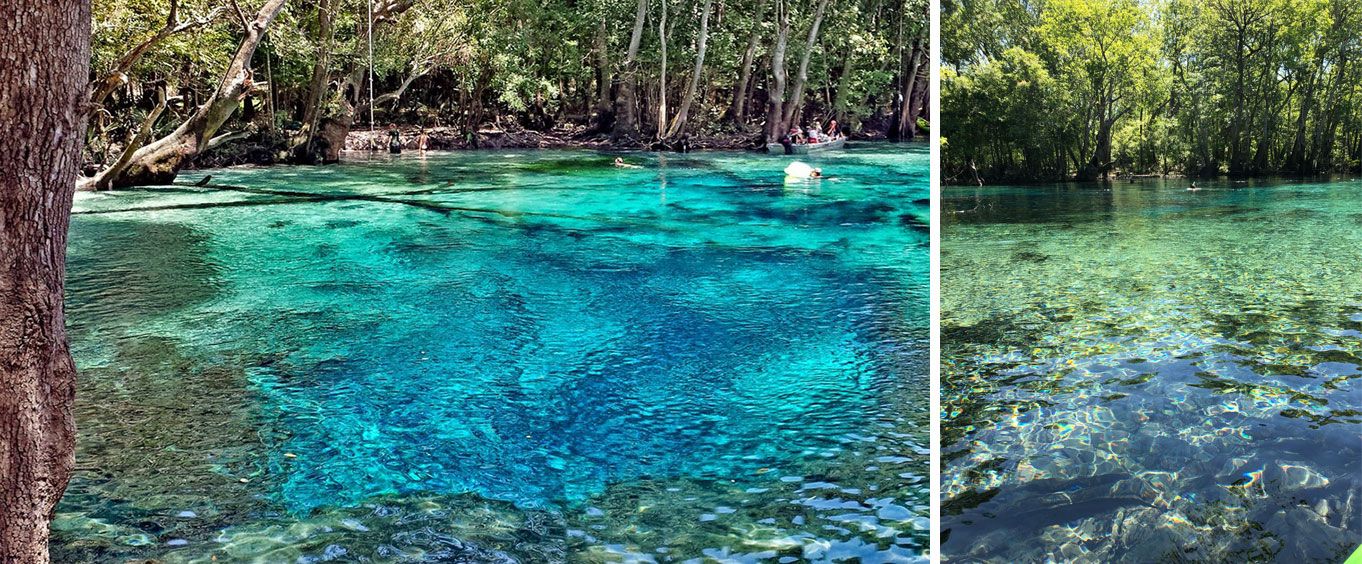 Cypress Springs Water Adventure Tour Special