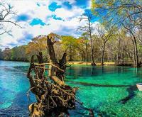 Cypress Springs Water Adventure Tour