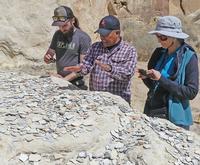 Hopi Cultural and Archaeological Tour
