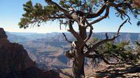 Grand Canyon South Rim from Flagstaff