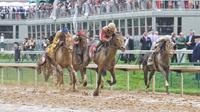 Race for the Roses!