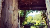Couse Studio