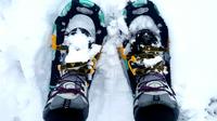 Snowshoes