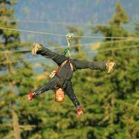 Ziptrek Bear Tour: Zipline