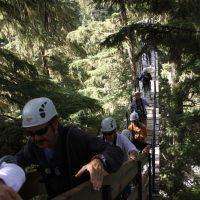 Zipline Eagle Tour: Bridge