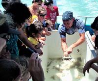Dolphin Watch Eco Tour of South Padre Island