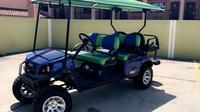 Golf Cart (6 person)