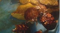 World Aquarium