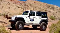 4x4 Tour Vehicle