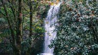 Partial picture of Multnomah Falls