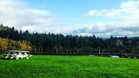 Tasting Room View