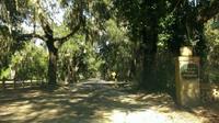 Visit private plantations on this 3-hour tour