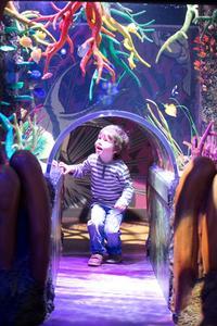 SEA LIFE Minnesota Aquarium at the Mall of America